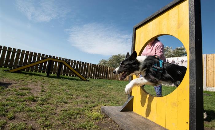 Woof Park
